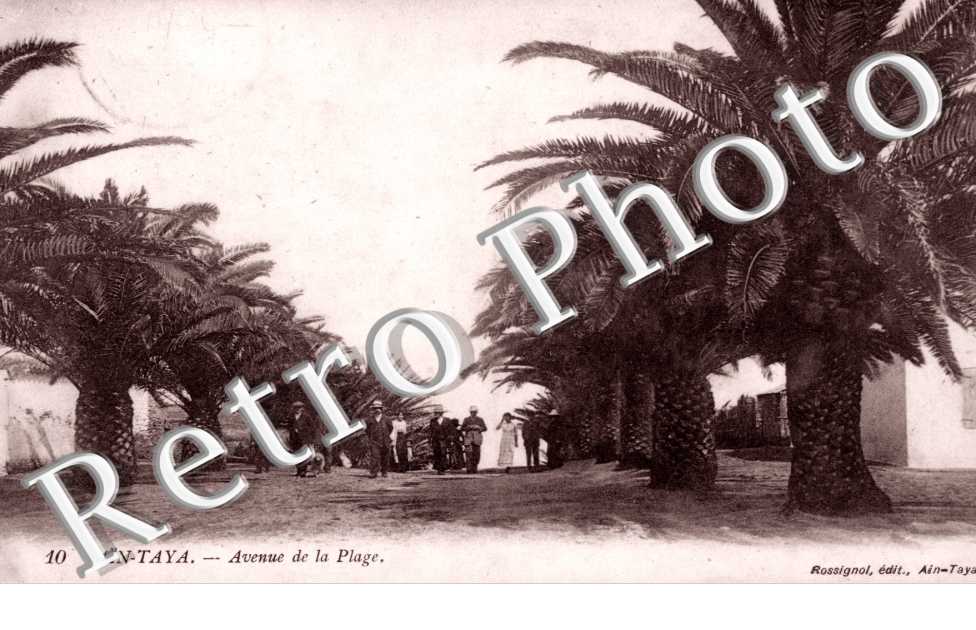 Ain-Taya, Avenue de la Plage