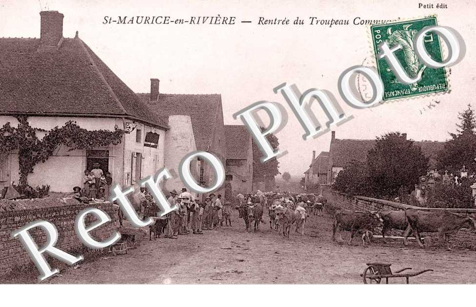Rentrée du Troupeau Communal