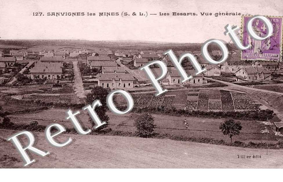 Les Essarts - Vue Générale