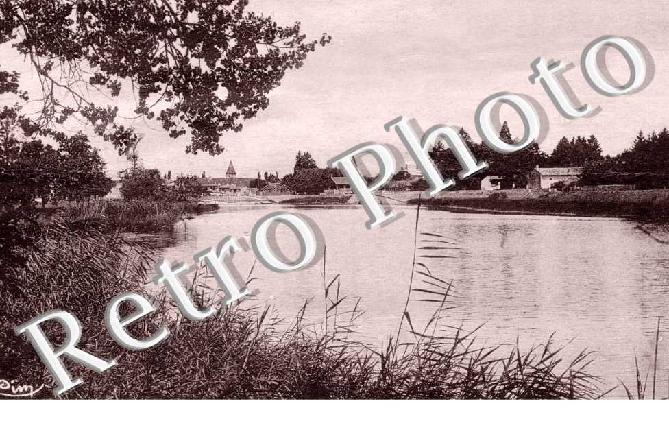 Bords de la Seille