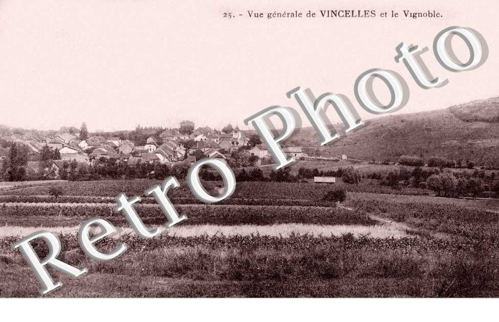 vue générale et le Vignoble