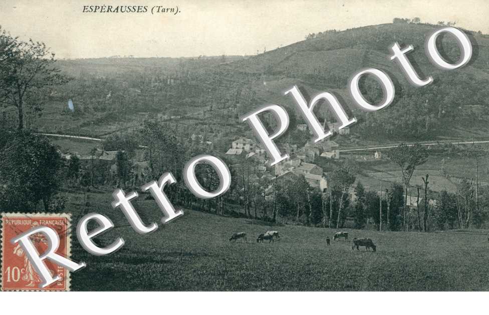 Vue générale