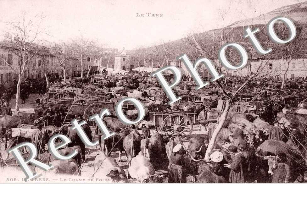 Le champ de foire