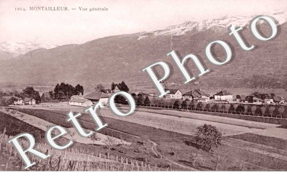 Vue generale