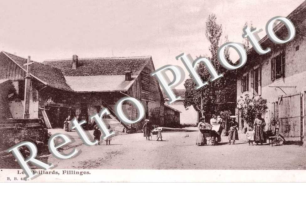 les Baillards
