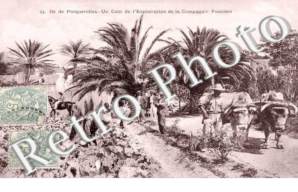 Un coin de l'exploitation de laq Compagnie Fonciere