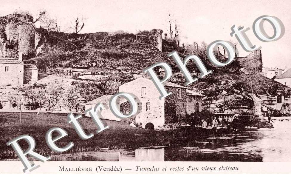 Tumulus et restes d&#039;un Vieux Chateau