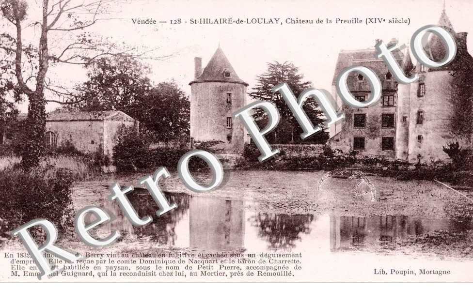 Chateau de la Preuille