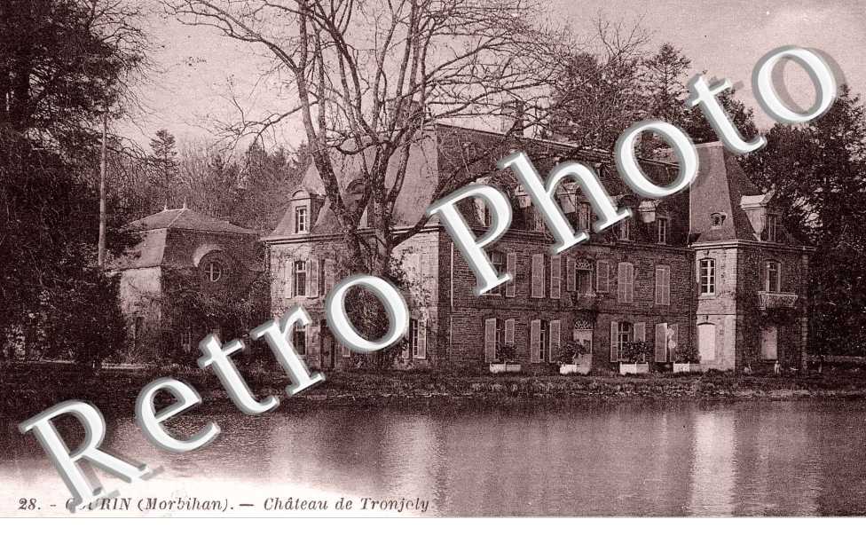 Chateau de Tronjely