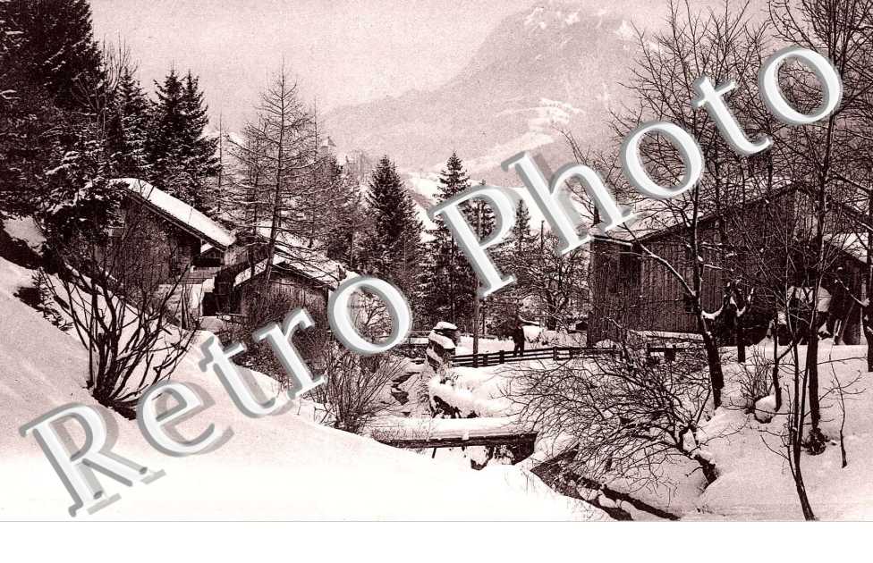 Paysage Alpestre - Sous la Neige