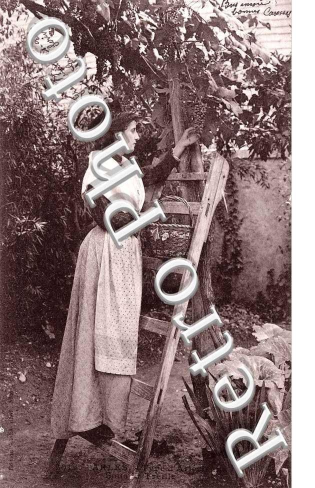 Arlesienne