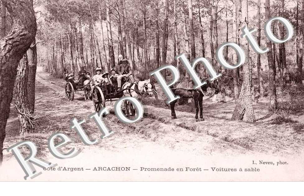 Promenade en foret - Voitures a sable