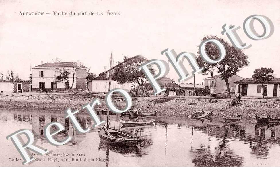 Partie du port de la teste