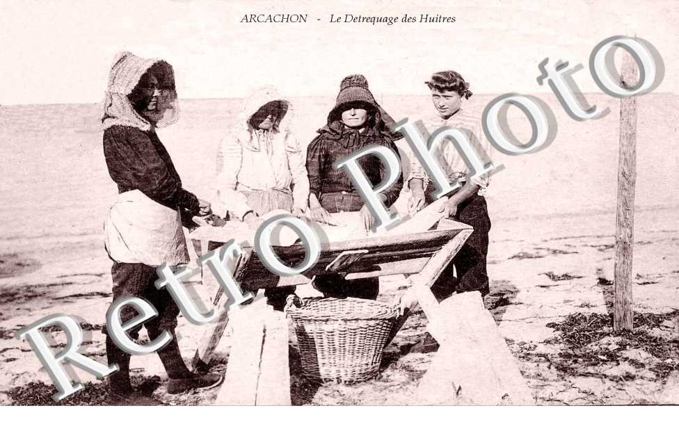 Le detroquage des huitres