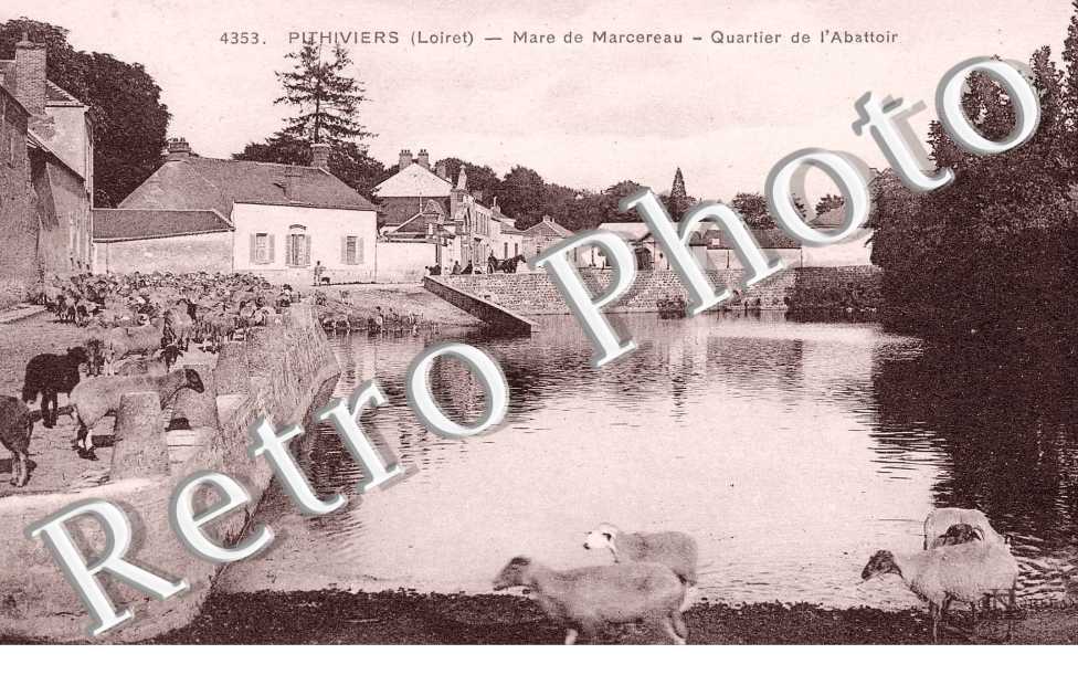 Mare de Marcereau - Quartier de l'Abattoir