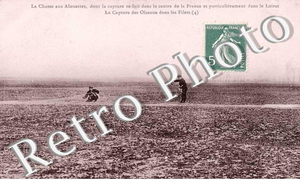 la chasse aux alouettes