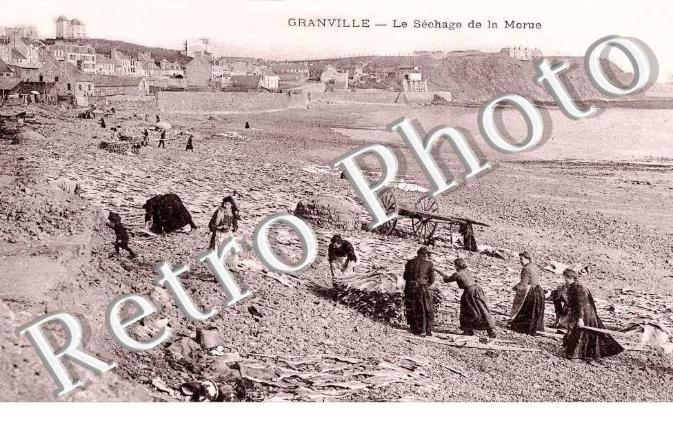 Sechage de la Morue
