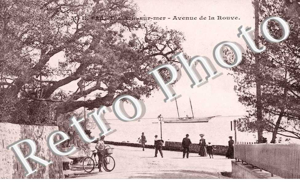 Avenue de la Rouve