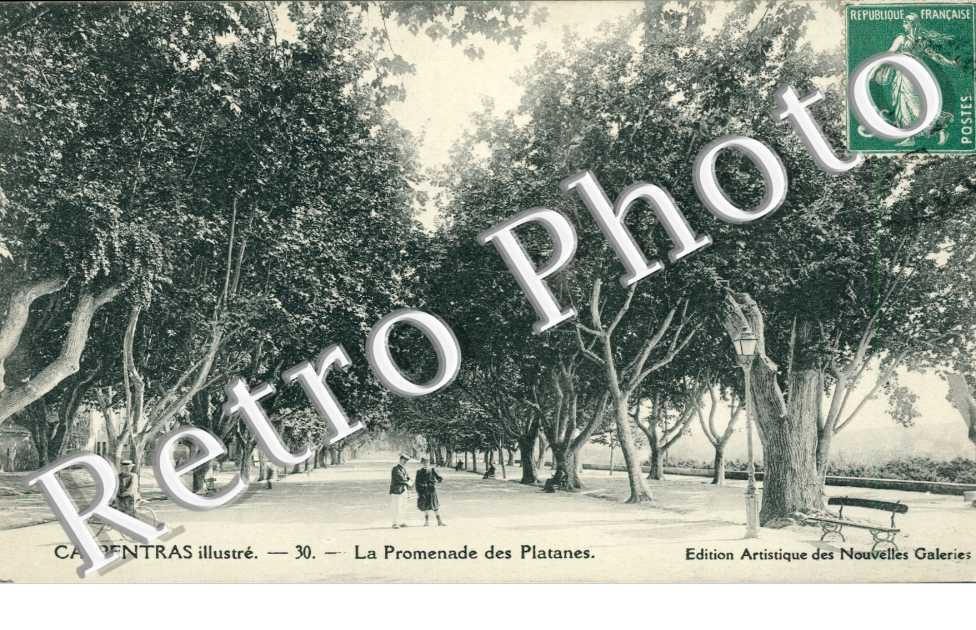 La Promenade des Platanes