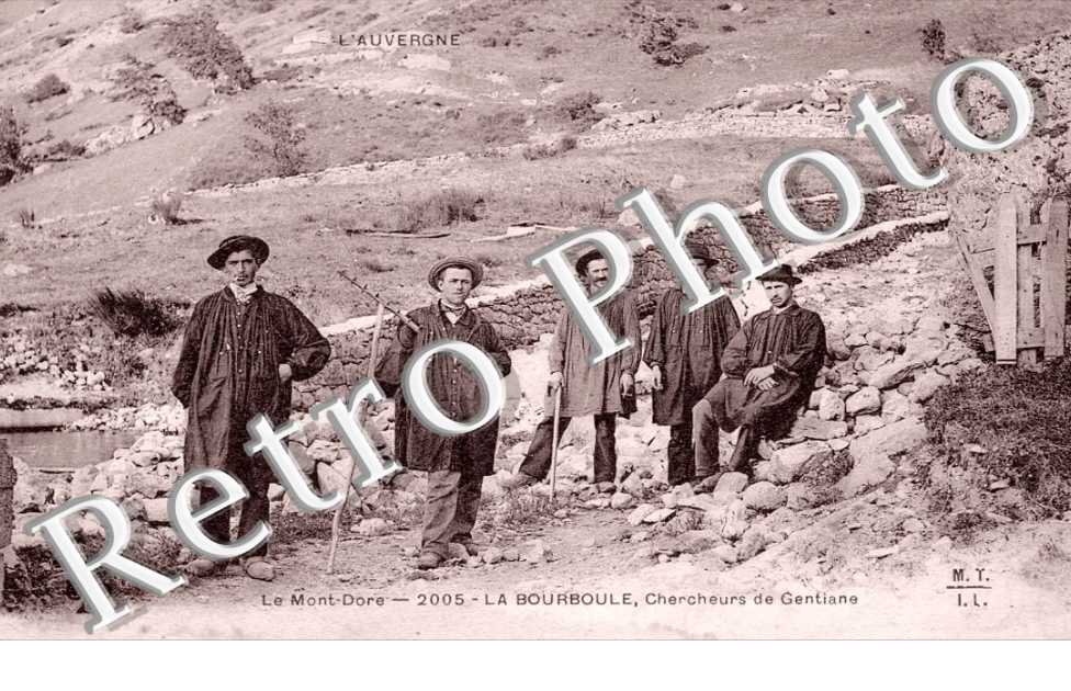 Chercheurs de gentiane