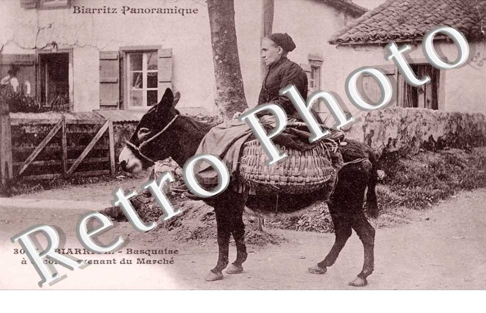 BASQUAISE A CACOLET REVENANT DU MARCHE