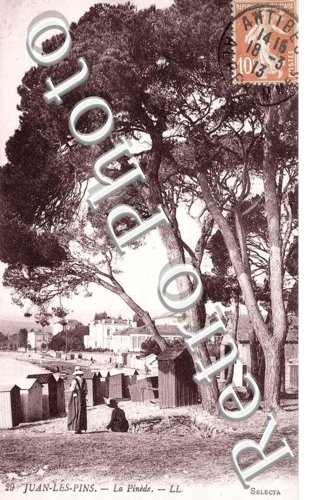 la Pinede