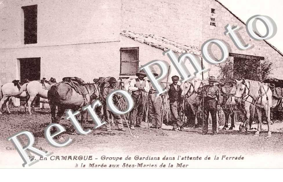 groupe de gardians dans l&#039;attente de la ferrade a la maree