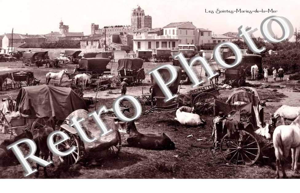 (chevaux) (carte-photo)