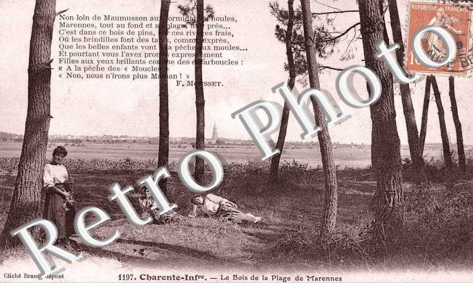 LE BOIS DE LA PLAGE DE MARENNES
