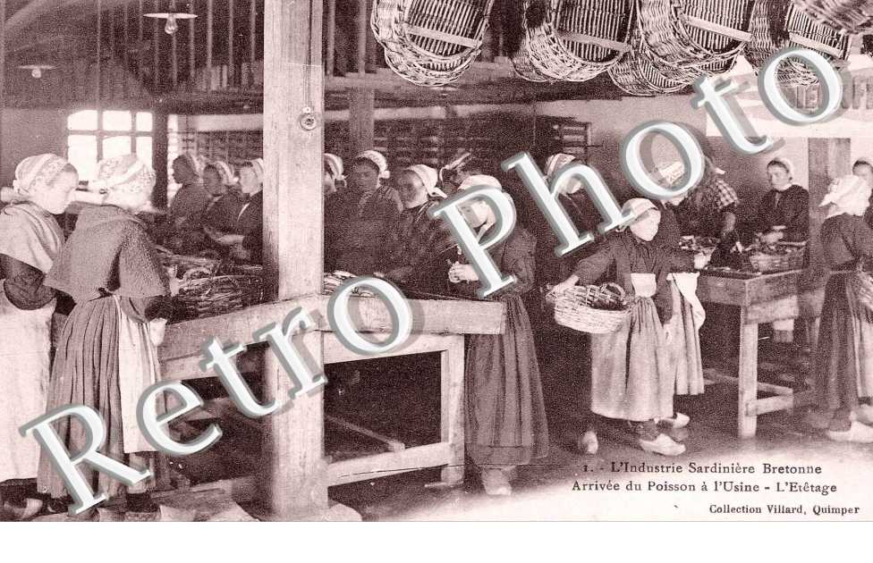 Arrivee du Poisson a l'Usine - l'Etetage