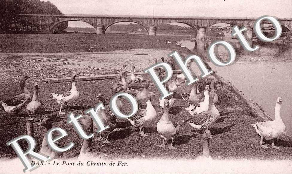le pont du chemin de fer (animaux - oies)