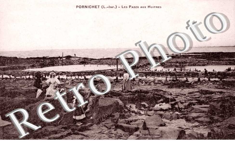 les parcs aux huitres