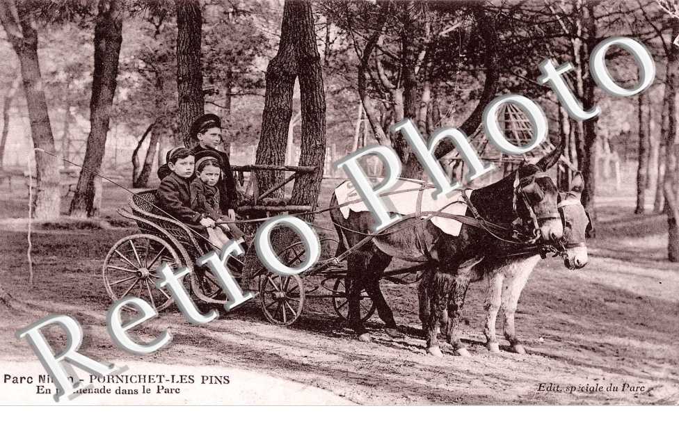 parc Ninon - en promenade dans le parc