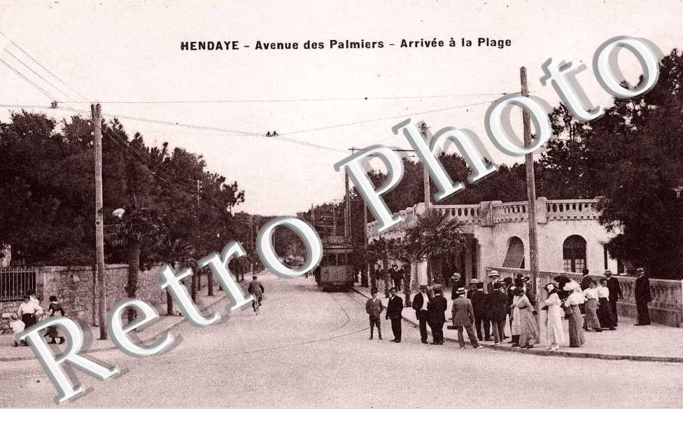 Avenue des Palmiers