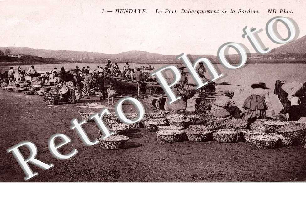 le port debarquement de la sardine