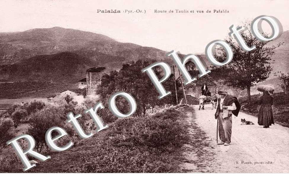 Palalda Route de Taulis et vue de Palalda