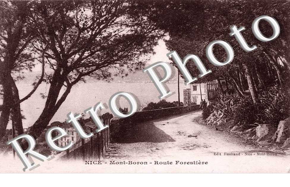 MONT-BORON   ROUTE FORESTIERE