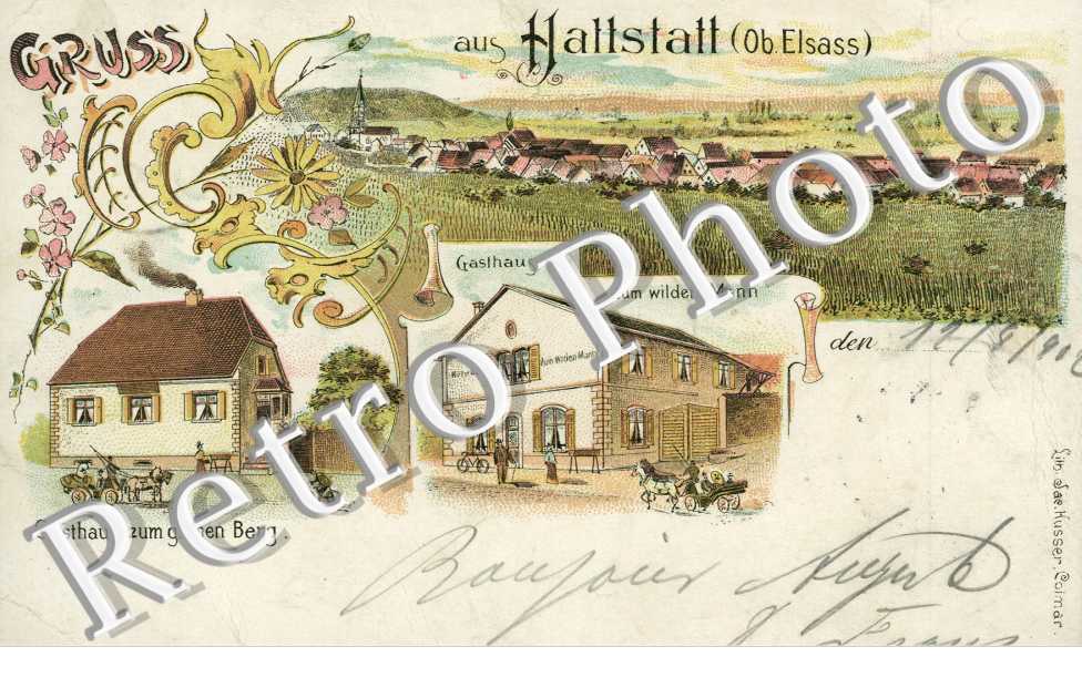 Gasthaus zum grunen Berg. - Gasthaus zum wilden Mann