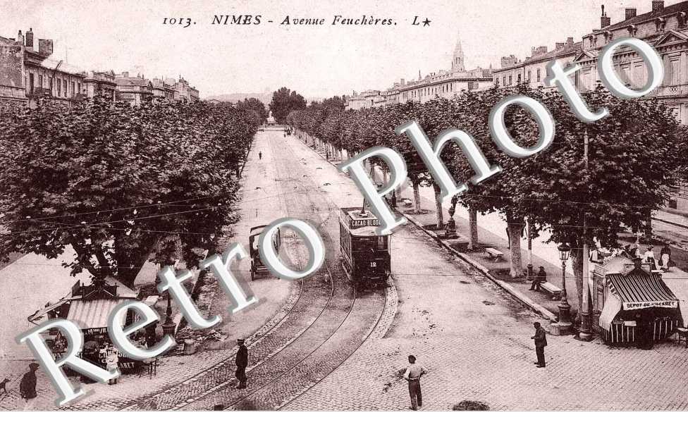 Avenue Feucheres