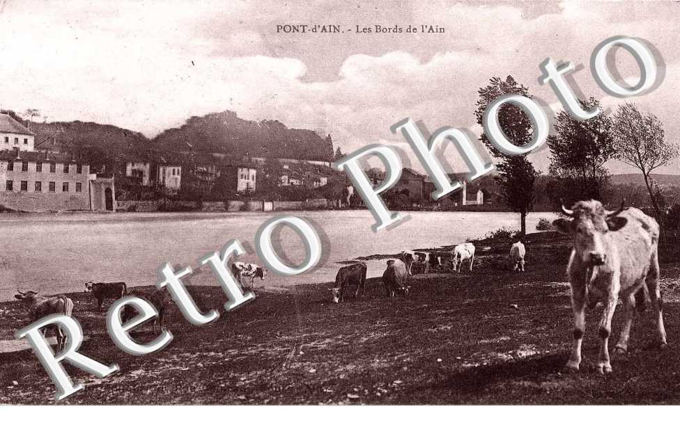 Les bords de l&#039;Ain