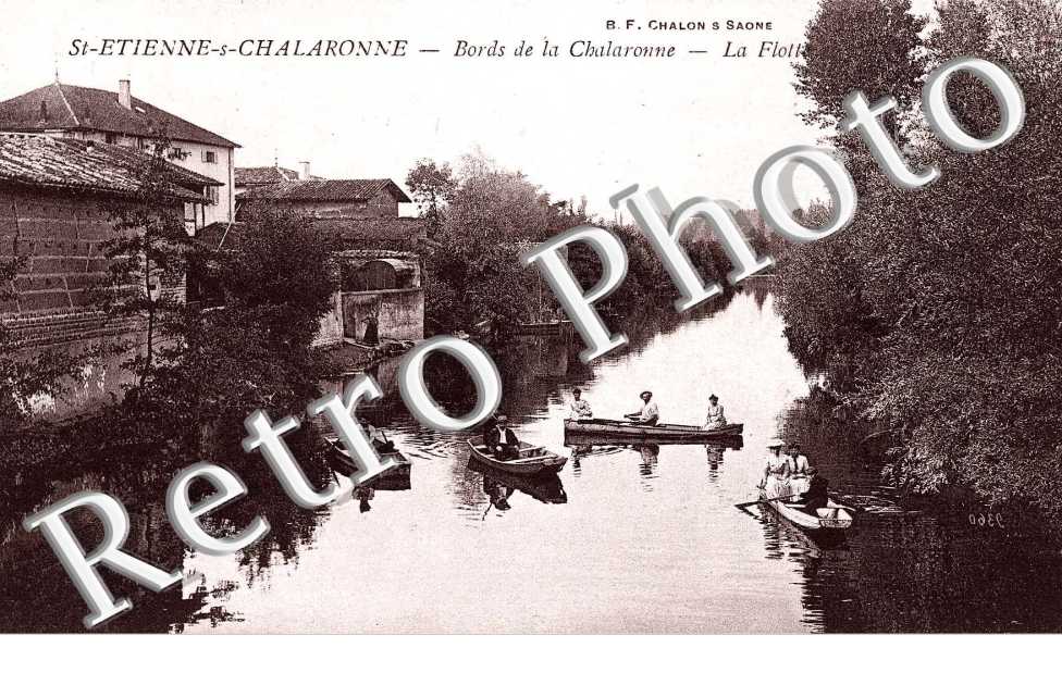 Bords de la Chalaronne, la Flotte