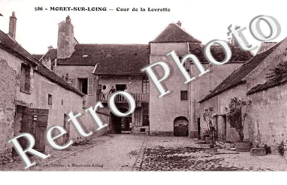 COUR LEVRETTE