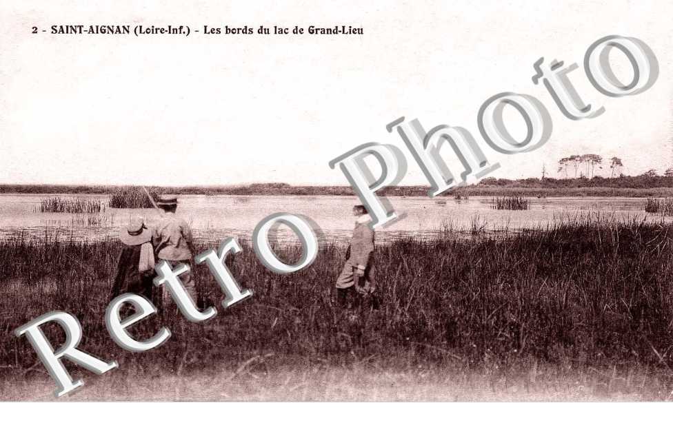 LES BORDS DU LAC DE GRAND-LIEU