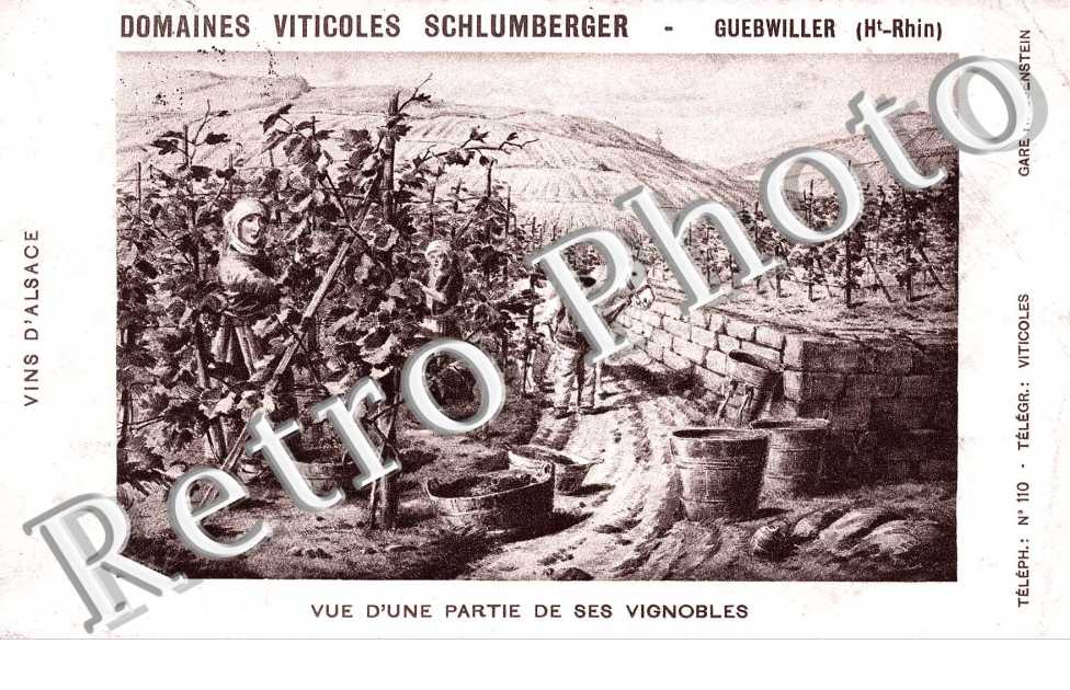 Domaine Viticole Schlumberger