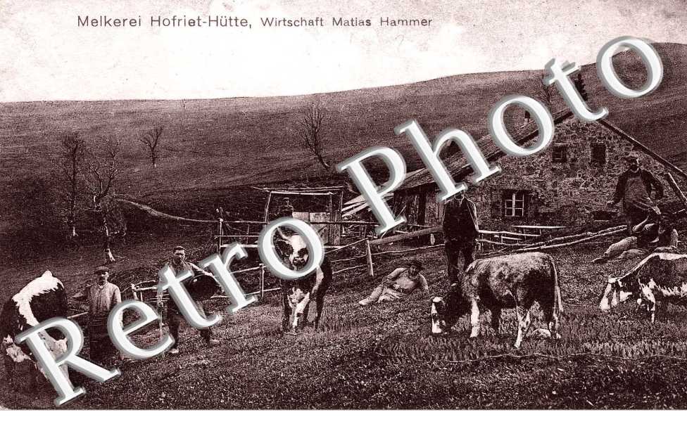 Wirtschaft Matias Hammer MELKEREI HOFRIET-HUTTE