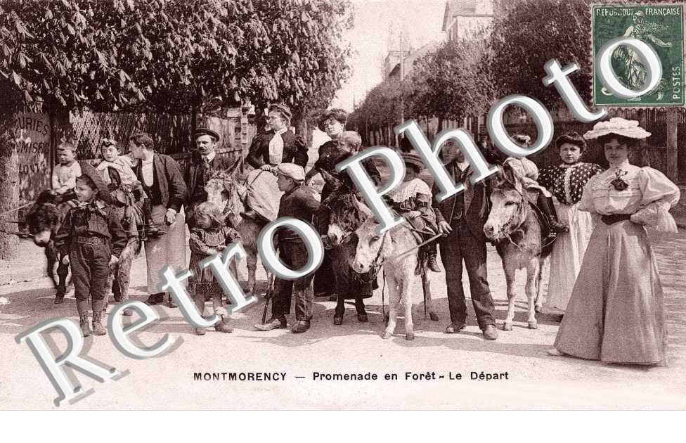 Promenade a foret - Le depart