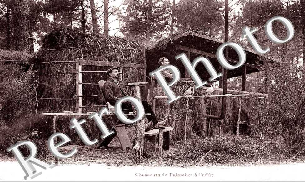 Chasseurs de Palombes à l&#039;Affût