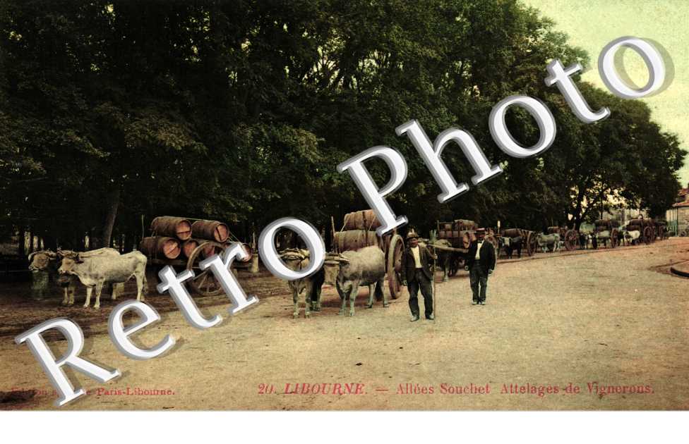 Allees Souchet Attelages de vignerons 