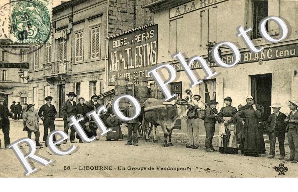 un groupe de vendangeurs