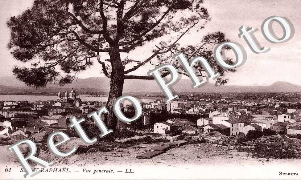 Vue Générale